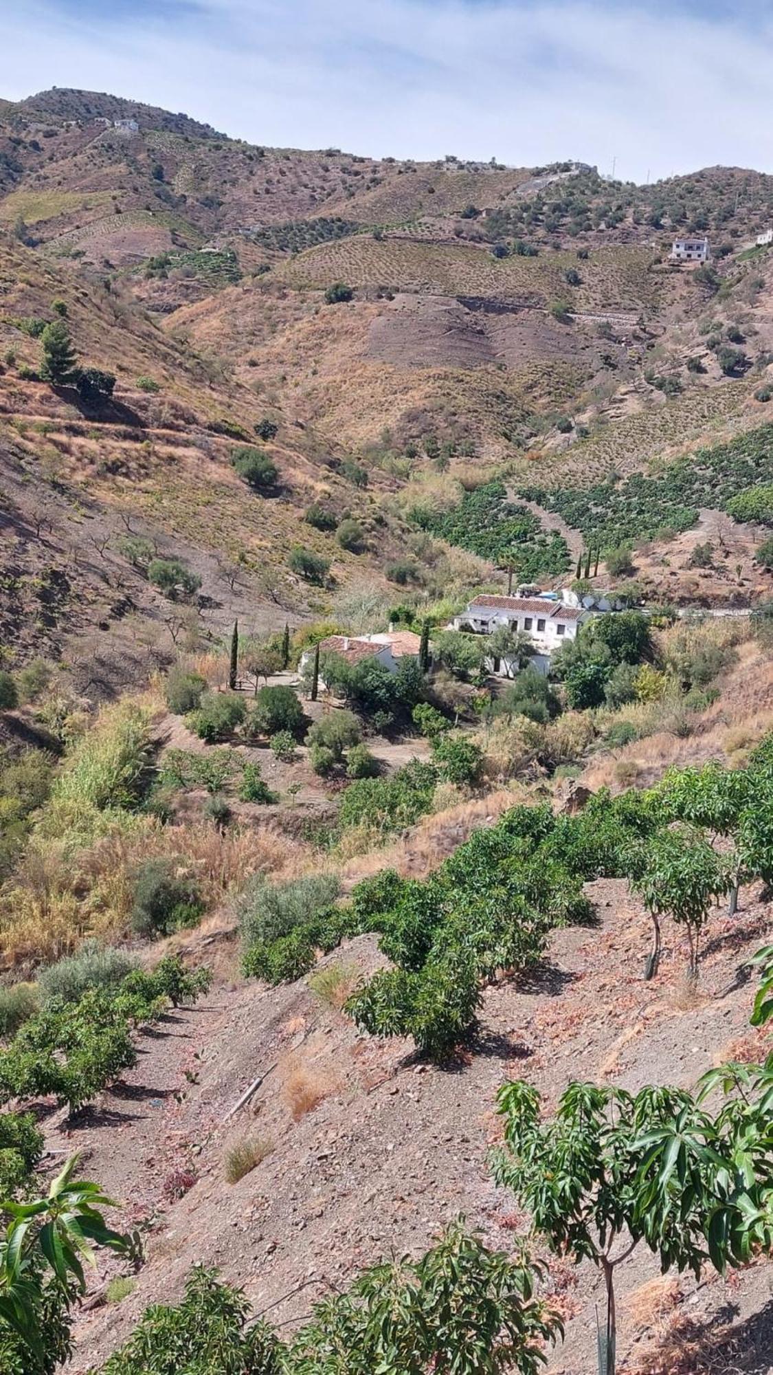 Cortijo Lagar De Luisa Guest House Borge Luaran gambar