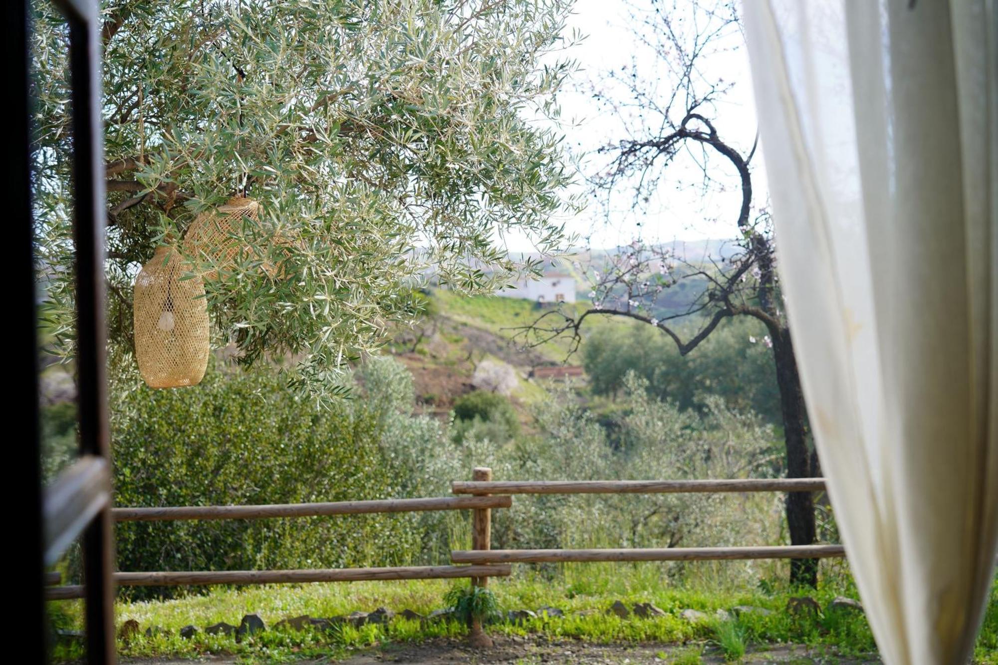 Cortijo Lagar De Luisa Guest House Borge Luaran gambar