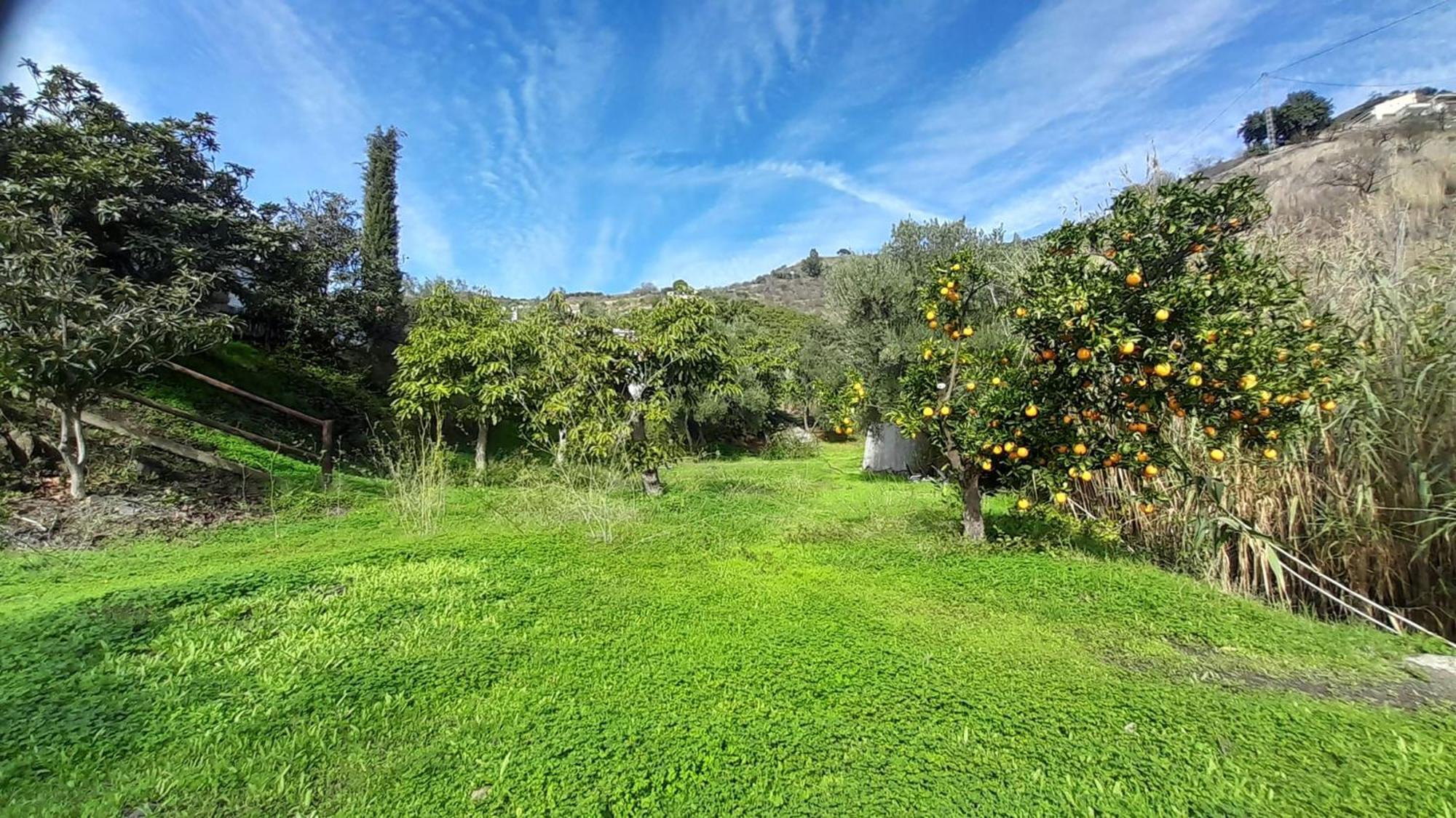 Cortijo Lagar De Luisa Guest House Borge Luaran gambar