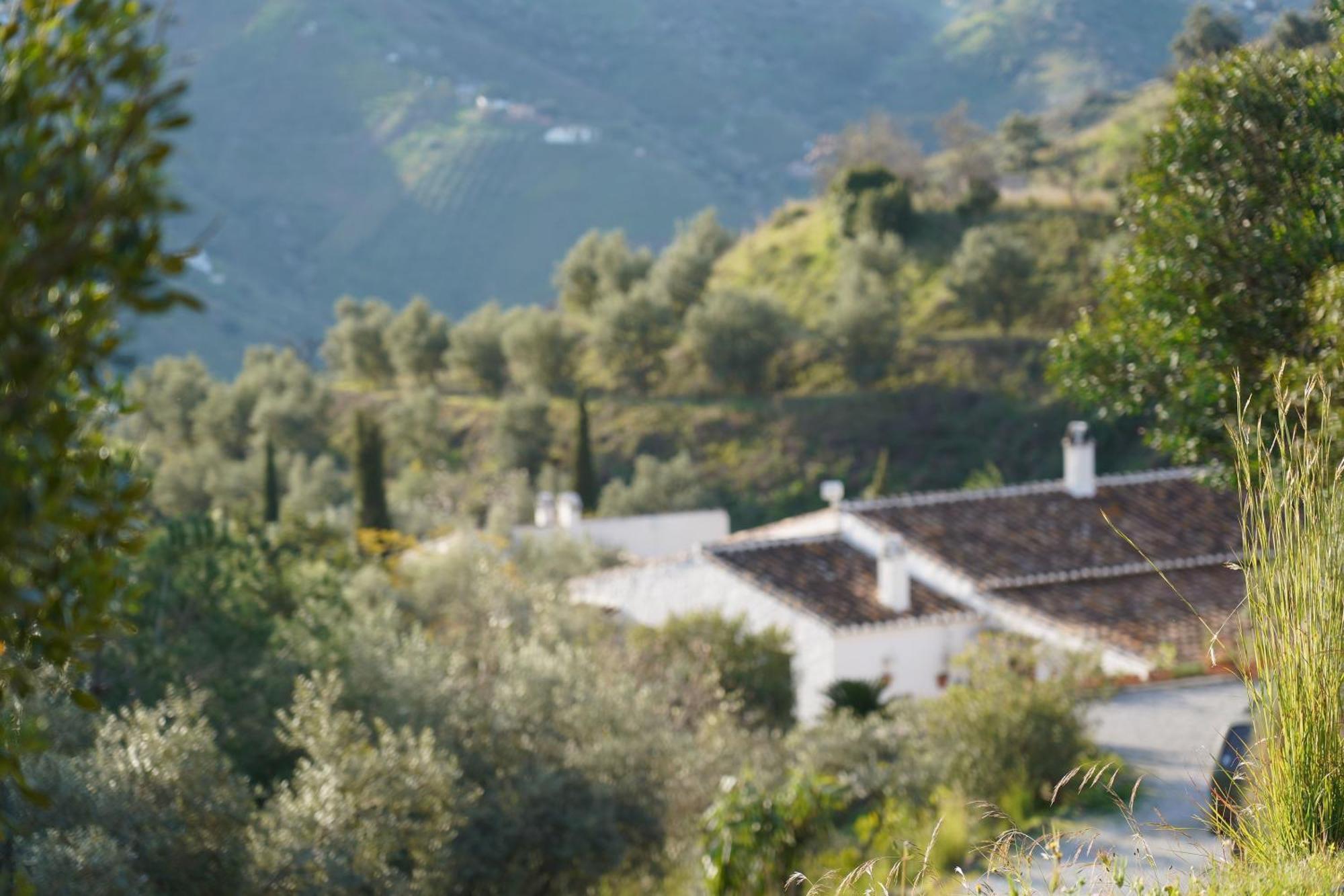 Cortijo Lagar De Luisa Guest House Borge Luaran gambar