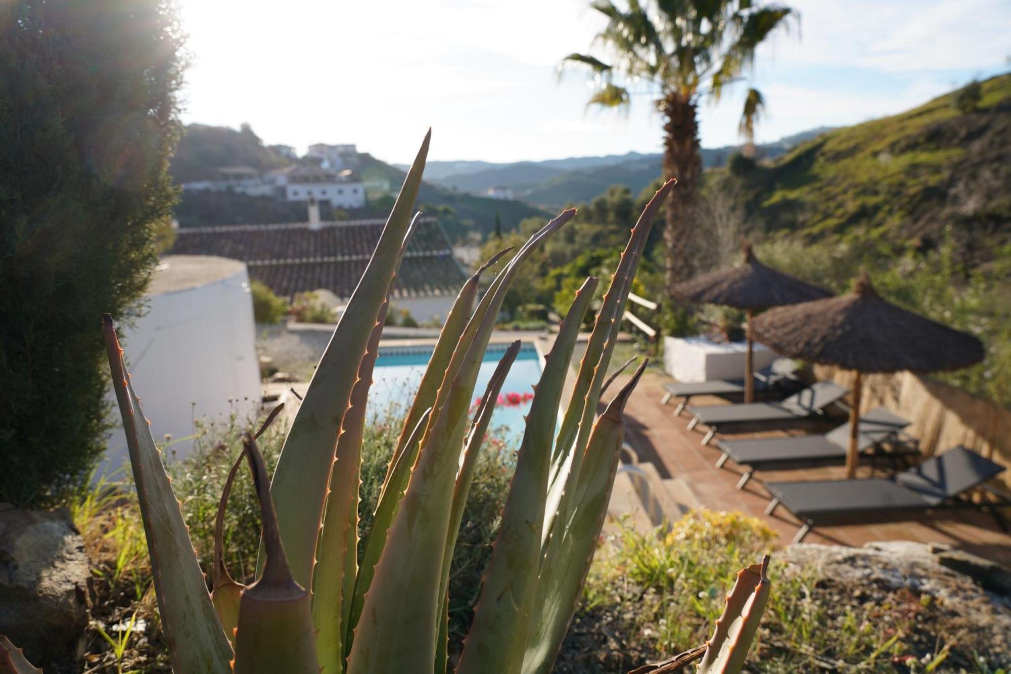 Cortijo Lagar De Luisa Guest House Borge Luaran gambar
