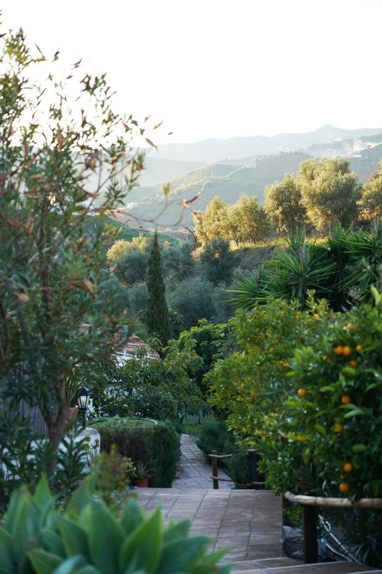 Cortijo Lagar De Luisa Guest House Borge Luaran gambar
