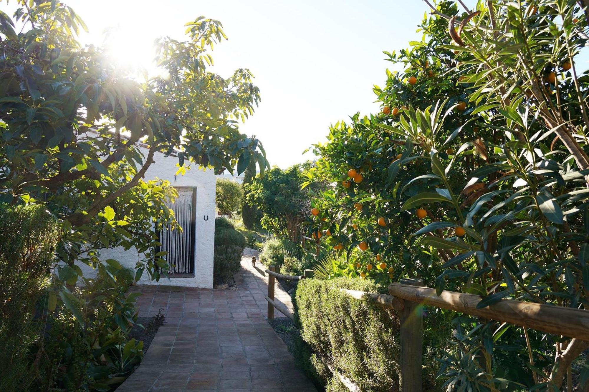 Cortijo Lagar De Luisa Guest House Borge Luaran gambar
