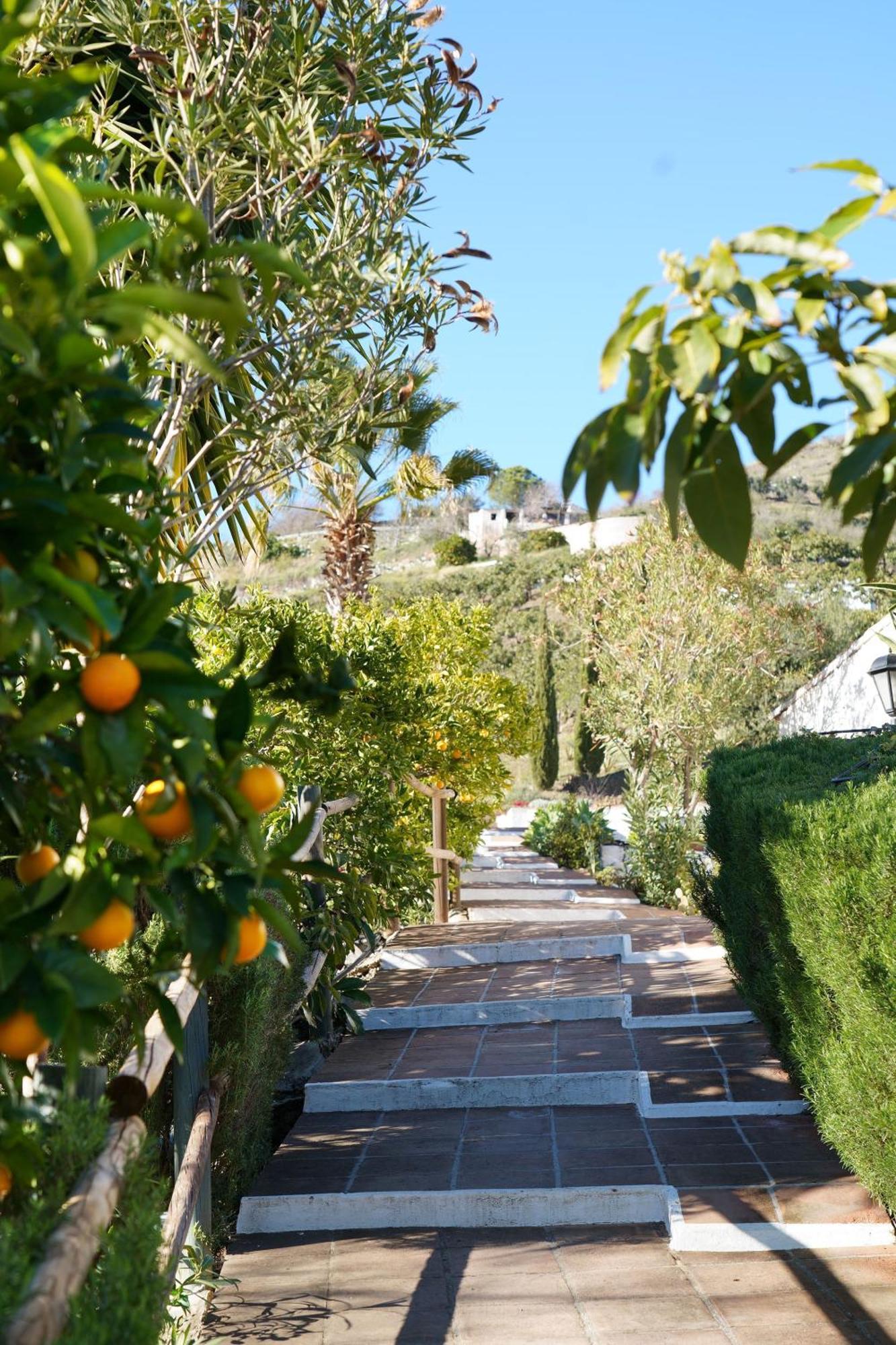 Cortijo Lagar De Luisa Guest House Borge Luaran gambar