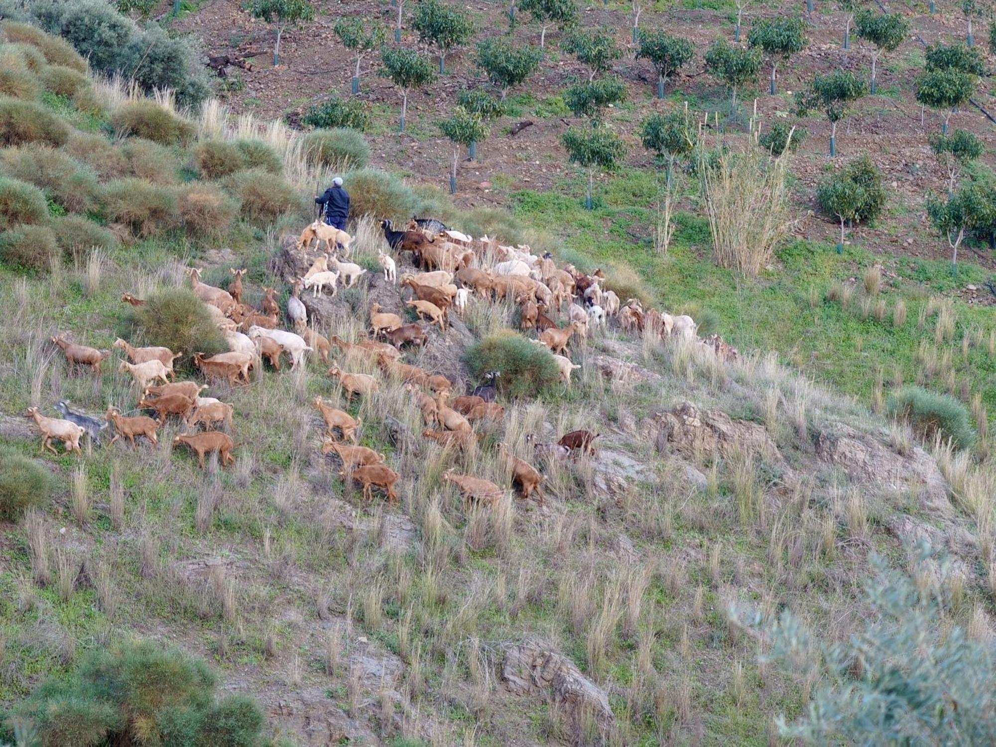 Cortijo Lagar De Luisa Guest House Borge Luaran gambar
